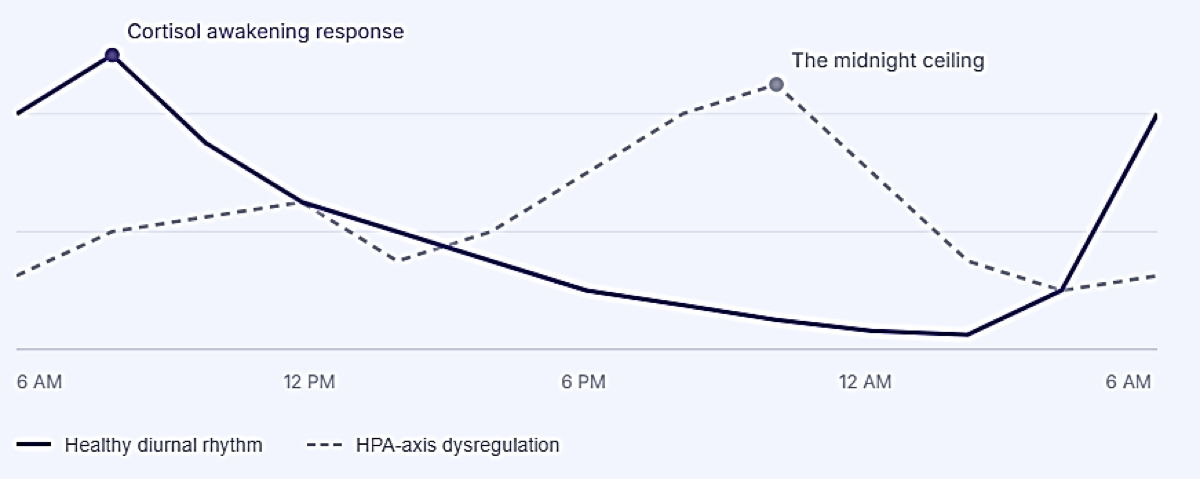 Cortisol Curve